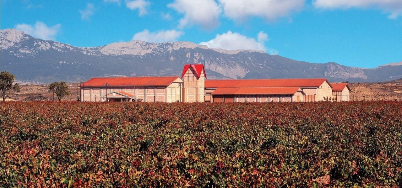 winery finca valpiedra